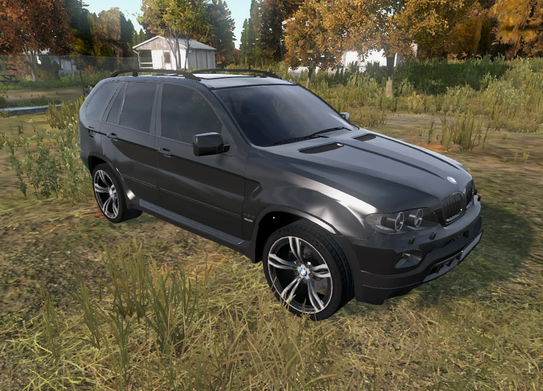 BMW X5